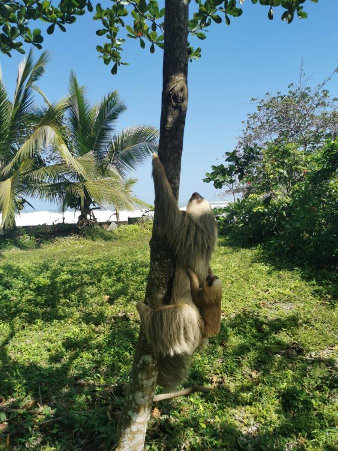 Ocean View Lodge Cahuita Buitenkant foto